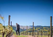 Load image into Gallery viewer, Tasty organic wine is here !! Misty Cove Organic Pinot Noir 2018 Full Body