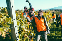 Load image into Gallery viewer, Tasty organic wine is here !! Misty Cove Organic Pinot Noir 2018 Full Body