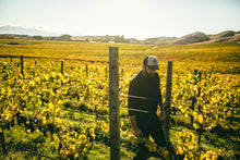 Load image into Gallery viewer, ミスティーコーヴ ソーヴィニョングリ 辛口白ワイン ニュージーランドワインmisty cove sauvignon gris